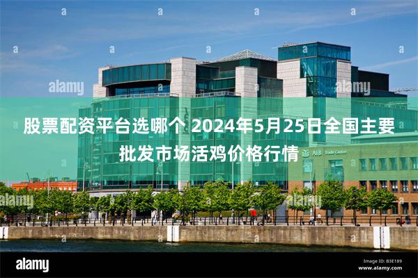 股票配资平台选哪个 2024年5月25日全国主要批发市场活鸡价格行情