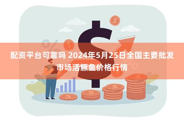 配资平台可靠吗 2024年5月25日全国主要批发市场活鳜鱼价格行情