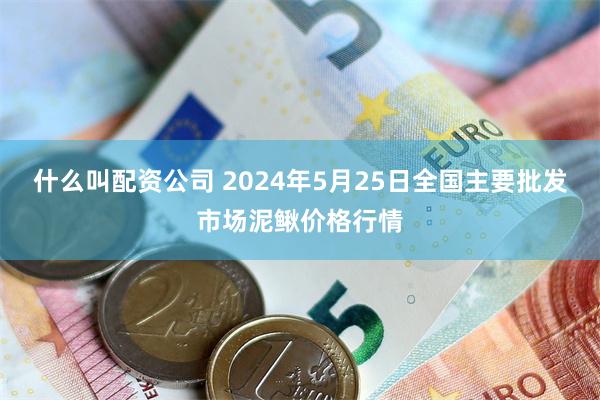 什么叫配资公司 2024年5月25日全国主要批发市场泥鳅价格行情