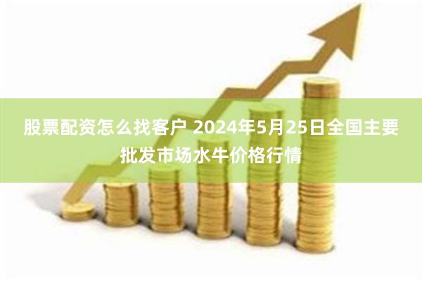 股票配资怎么找客户 2024年5月25日全国主要批发市场水牛价格行情