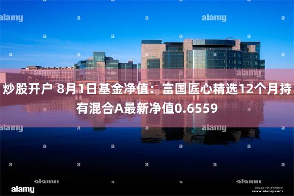 炒股开户 8月1日基金净值：富国匠心精选12个月持有混合A最新净值0.6559