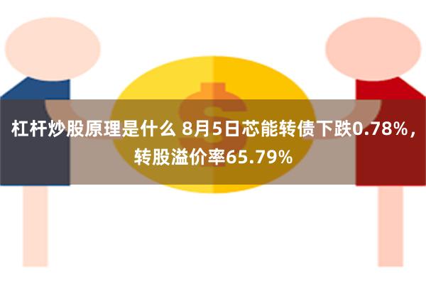 杠杆炒股原理是什么 8月5日芯能转债下跌0.78%，转股溢价率65.79%