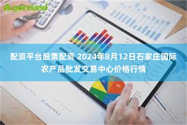 配资平台股票配资 2024年8月12日石家庄国际农产品批发交易中心价格行情