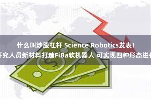 什么叫炒股杠杆 Science Robotics发表！研究人员新材料打造FiBa软机器人 可实现四种形态进化