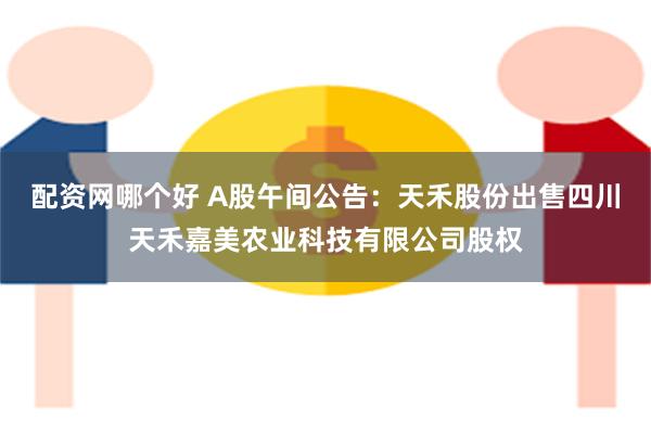 配资网哪个好 A股午间公告：天禾股份出售四川天禾嘉美农业科技有限公司股权