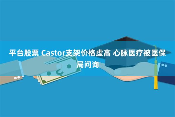 平台股票 Castor支架价格虚高 心脉医疗被医保局问询