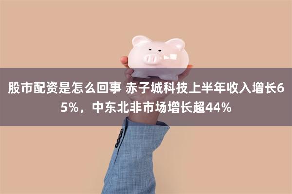 股市配资是怎么回事 赤子城科技上半年收入增长65%，中东北非市场增长超44%