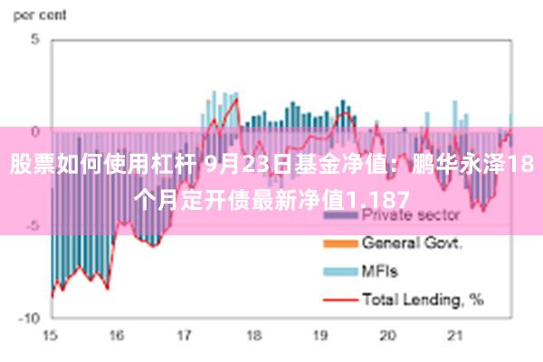 股票如何使用杠杆 9月23日基金净值：鹏华永泽18个月定开债最新净值1.187