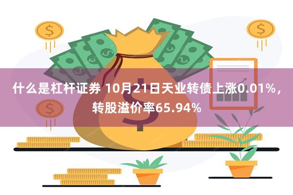 什么是杠杆证券 10月21日天业转债上涨0.01%，转股溢价率65.94%