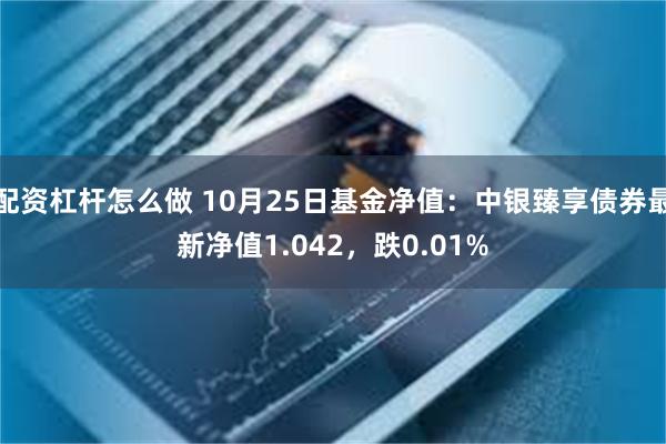 配资杠杆怎么做 10月25日基金净值：中银臻享债券最新净值1.042，跌0.01%