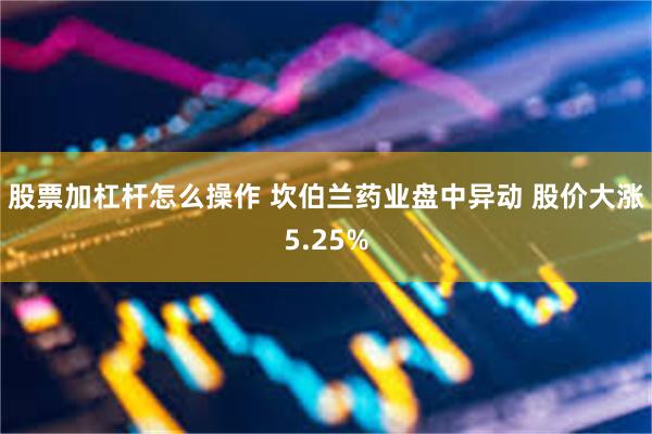 股票加杠杆怎么操作 坎伯兰药业盘中异动 股价大涨5.25%