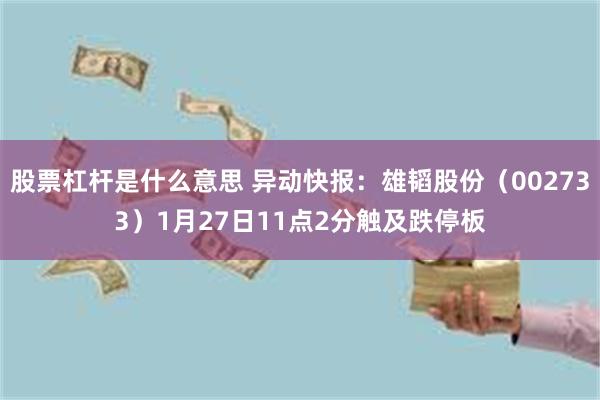 股票杠杆是什么意思 异动快报：雄韬股份（002733）1月27日11点2分触及跌停板